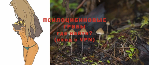 таблы Каменногорск