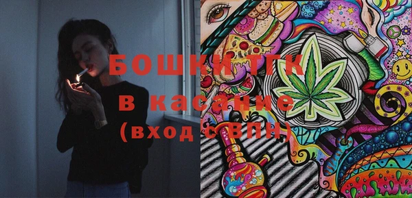 прущие грибы Инсар