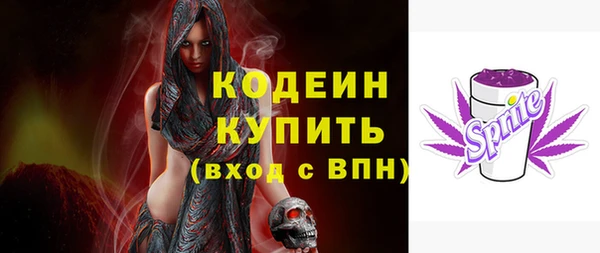 прущие грибы Инсар