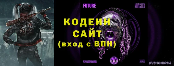 прущие грибы Инсар