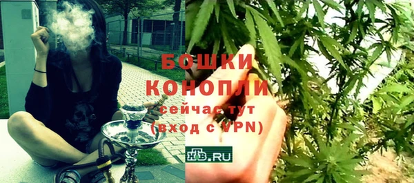 твердый Иннополис