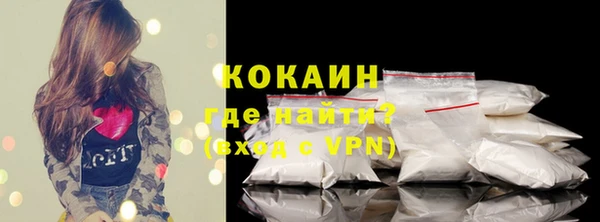прущие грибы Инсар