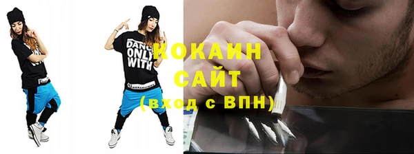 прущие грибы Инсар
