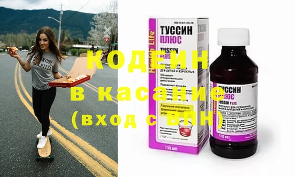 прущие грибы Инсар