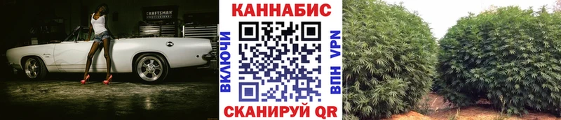 Купить  Баймак  Каннабис план 
